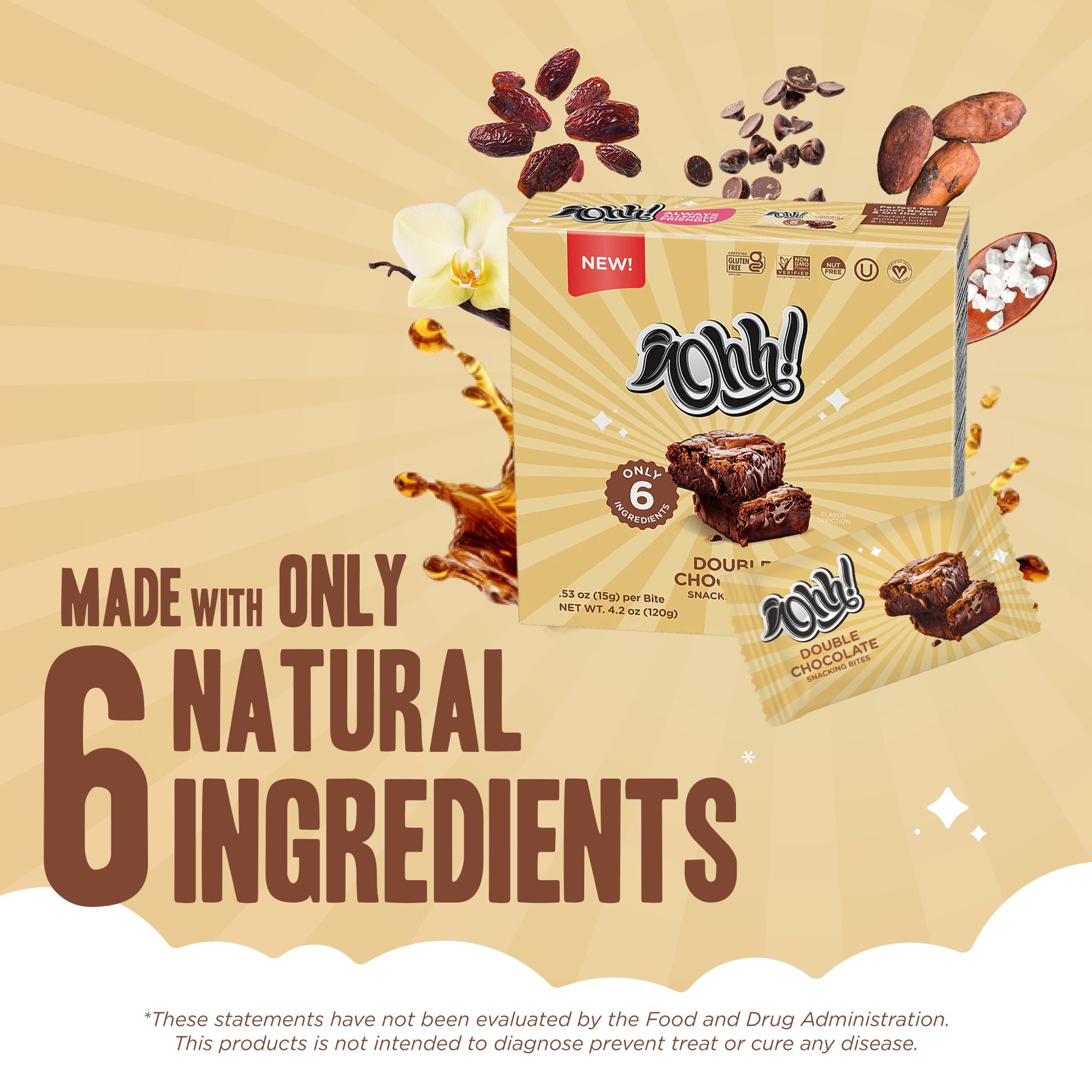 6 Pack Double Chocolate Snacking Bites